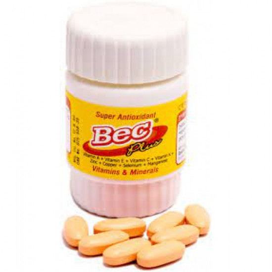 Bec Plus, Pot