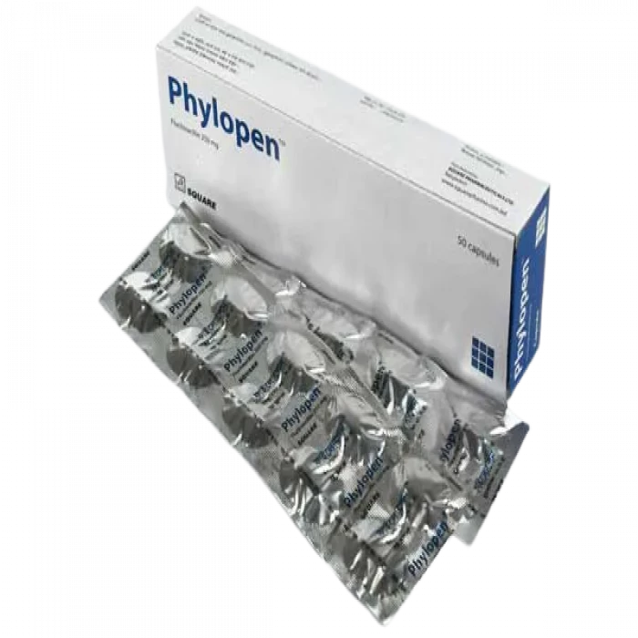 Phylopen 250mg 10pcs